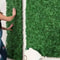 Artificial Boxwood Grass Wall Panels Set For Green Decor 2