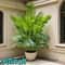 50 Inch Giant Artificial Palm Tree For Indoor And Outdoor Decor 0