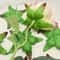 Artificial Rose Leaves For DIY Bouquet Decoration 4
