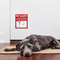 Pet Alert Emergency Window Sticker Set 6