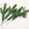 Artificial Pine Needle Branches Christmas Decor Set 12