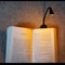 Mini USB Rechargeable Clip On Book Light 11