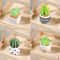 Mini Resin Dollhouse Plant Pot Decor 5