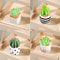 Mini Resin Dollhouse Plant Pot Decor 5