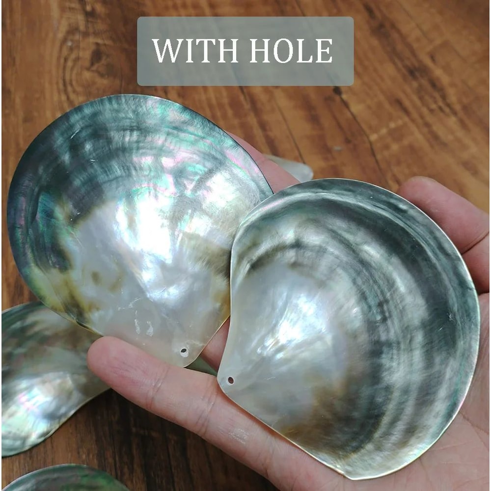 Black Mother Of Pearl Shell Jewelry Beads 5