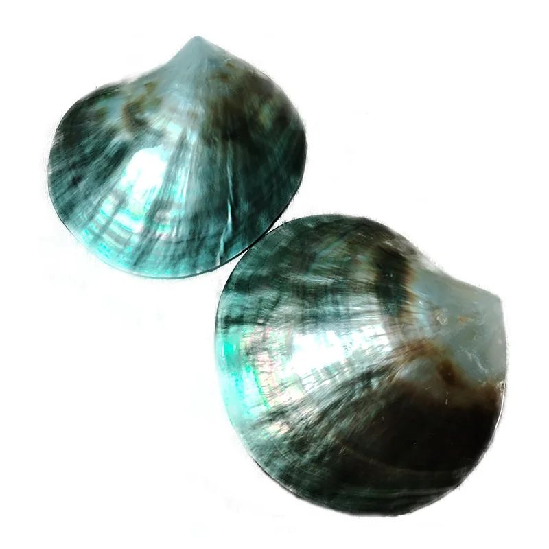 Black Mother Of Pearl Shell Jewelry Beads 7