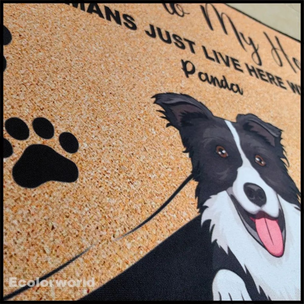 Personalized Pet Cartoon Welcome Doormat 8