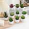 Mini Artificial Succulent Bonsai Plant Decor 0