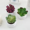 Mini Artificial Succulent Bonsai Plant Decor 4