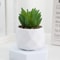 Mini Artificial Succulent Bonsai Plant Decor 6