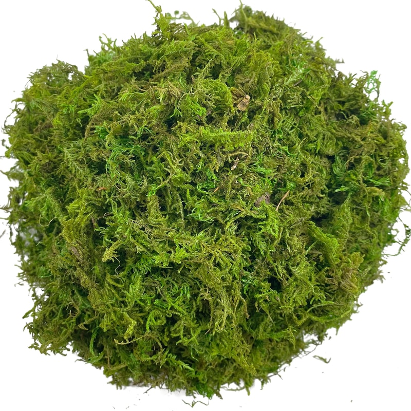 Artificial Green Moss For Plants And Crafts 1