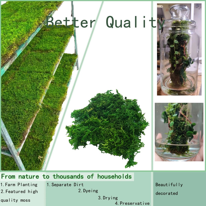 Artificial Green Moss For Plants And Crafts 5
