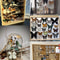 Real Butterfly Specimen Collection Set 2