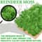 Artificial Moss Grass For DIY Crafts And Mini Landscape Decor 2