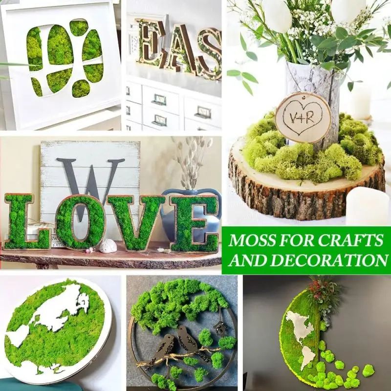 Artificial Moss Grass For DIY Crafts And Mini Landscape Decor 3