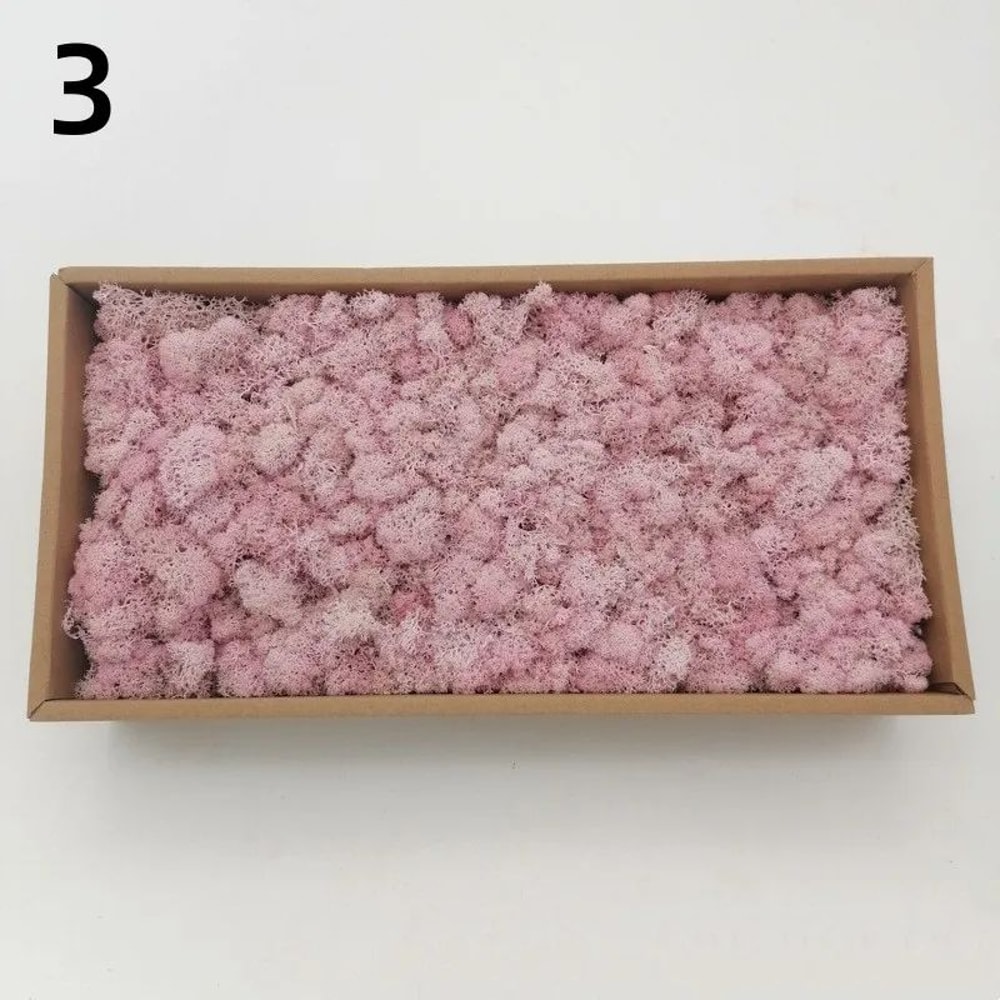 Artificial Moss Grass For DIY Crafts And Mini Landscape Decor 10