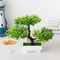 Mini Artificial Bonsai Tree Potted Plant Decor 0