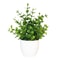Artificial Bonsai Plant For Home And Office Decor 3