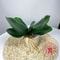 Artificial Orchid Leaves For Elegant Home Decor 2