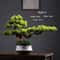 Artificial Welcome Pine Bonsai Desktop Decor 5