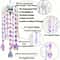 Crystal Chandelier Wind Chimes Rainbow Suncatcher 5