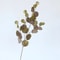 Artificial Eucalyptus Long Stem Greenery Decor 15