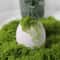 Artificial Green Moss For DIY Decor And Landscaping 3