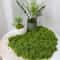 Artificial Green Moss For DIY Decor And Landscaping 11