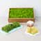 Natural Green Moss Decorative Accent 6