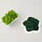 Natural Green Moss Decorative Accent 7