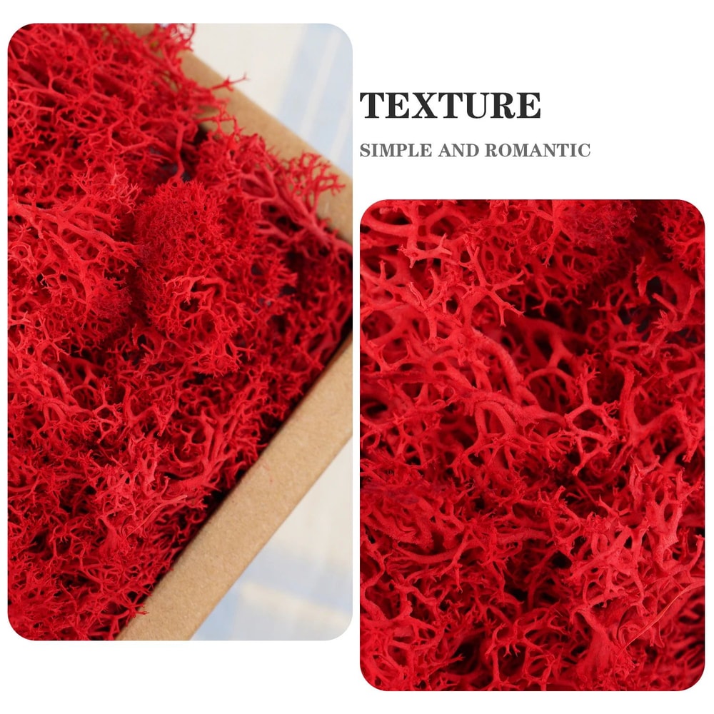 Natural Green Moss Decorative Accent 8