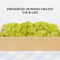 Natural Green Moss Decorative Accent 10