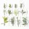 Artificial Green Leaf Garland Decor Set 5