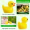 Mini Resin Duck Figurines Set 5