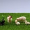 Mini Resin Sheep Family Figurine Set For Garden And Desk Decor 3