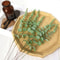Artificial Eucalyptus Stems Greenery For DIY Decor 10
