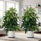Large Artificial Money Tree Palm Decor 0