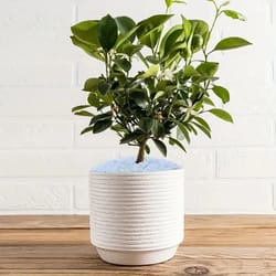 natural crystal pebbles aquarium gravel decor