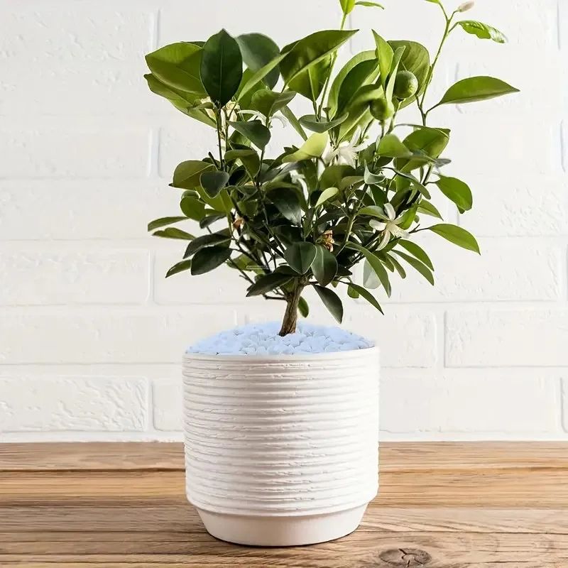 Natural Crystal Pebbles Aquarium Gravel Decor 0