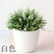 Mini Artificial Bonsai Potted Plant Decor 25