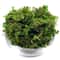 Artificial Moss Craft Decor For Plants And DIY 9
