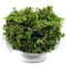 Artificial Moss Craft Decor For Plants And DIY 9