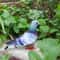 Artificial Dove Bird Decor Realistic Pigeon For Home And Events 9