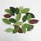Artificial Magnolia Leaves Set PU Realistic Leaves For DIY Decor 5