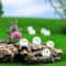 Glow Dust Elf Miniature Ghibli Style Decor Set 6