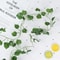 24M Artificial Ivy Hanging Vine Wall Decor 7