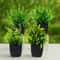 Artificial Mini Bonsai Plant Decor 4