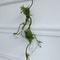 Artificial Rattan Vine Wall Hanging Decor 7
