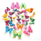 3D Butterfly Wall Stickers Set 1