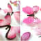 3D Butterfly Wall Stickers Set 6